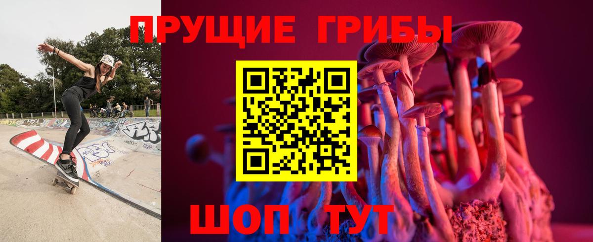 Галлюциногенные грибы ЛСД  Псилоцибиновые грибы Psilocybe  Нурлат  Вход с VPN 